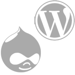 Content Driven Websites